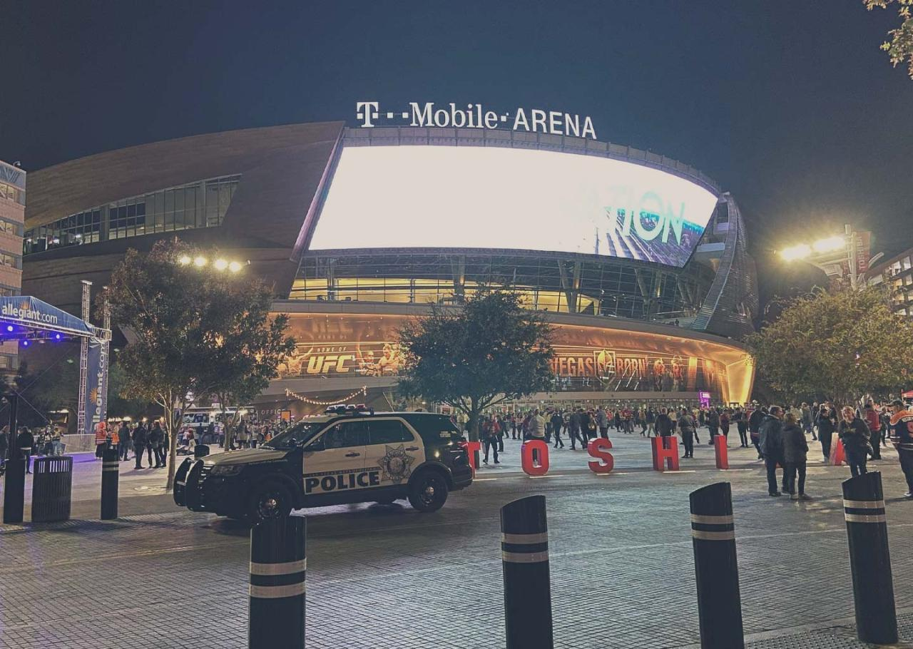 Vegas Golden Knights at T-Mobile Arena - Photo 1 of 6